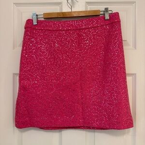NWOT Ann Taylor Loft Sequin Skirt
